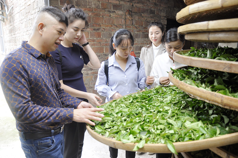 茶艺师培训课程内容
