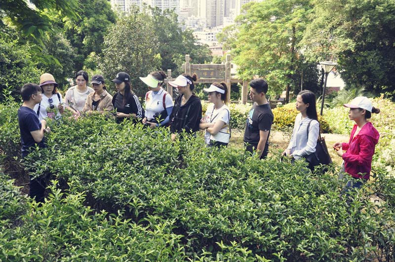 2025年茶艺师培训师培训时间和考试时间
