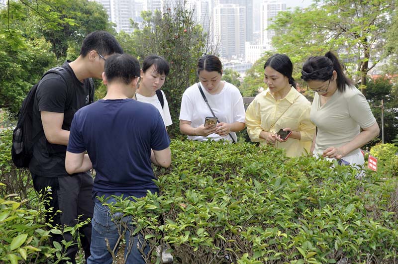 全国十大茶艺师培训学校 榜首是哪一家? 全国十大茶道培训中心