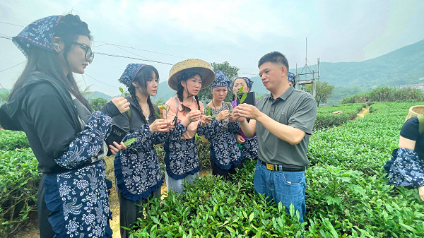 全国十大茶艺培训班,你会想到哪一家?全国十大茶道培训机构